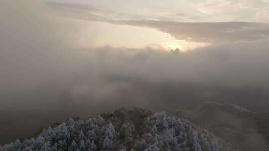 浙江丽水遂昌白马山森林公园4K云海雪景航拍