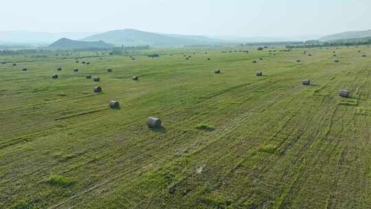 内蒙古草原草场秋收草卷