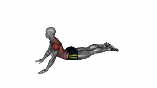 俯卧腹部拉伸健身运动3D演示动画视频素材模板下载