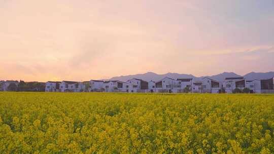 杭州富阳东梓关村春天风景