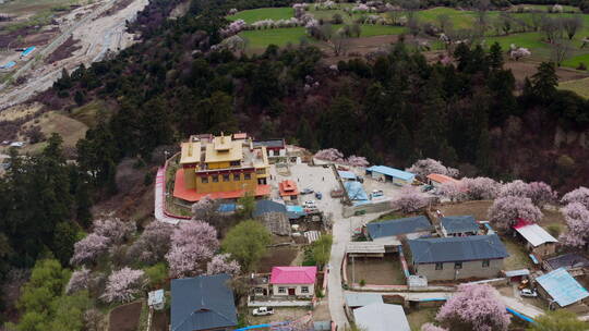 西藏林芝米林桃花乡村宫殿