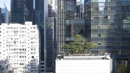 香港铜锣湾希慎广场视频素材模板下载