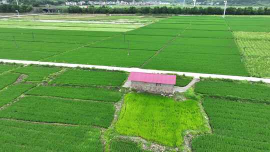 航拍福建南平市浦城城市风光建筑历史古建