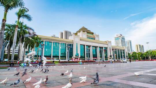 广西南宁民族广场的鸽子