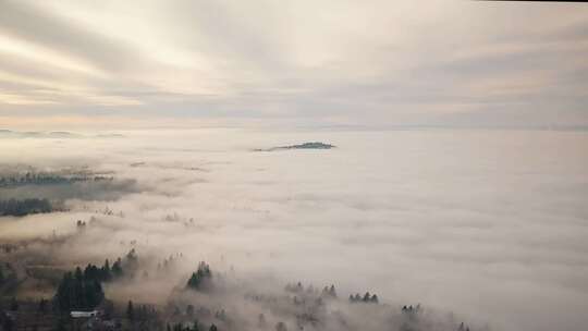 森林 山脉 云层  薄雾 云雾