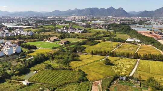 航拍金华浦江上山文化遗址公园