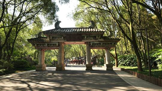 浙江绍兴新昌大佛寺内各种佛殿