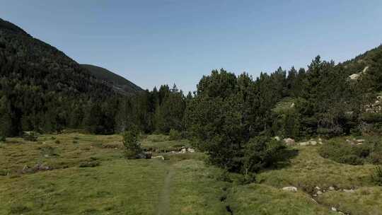 在加泰罗尼亚的La Cerdanya，从