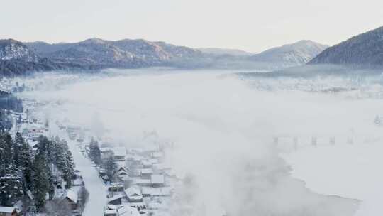 雾，雪，房子，树木