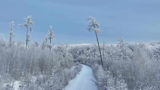 山林雪路林海雪原