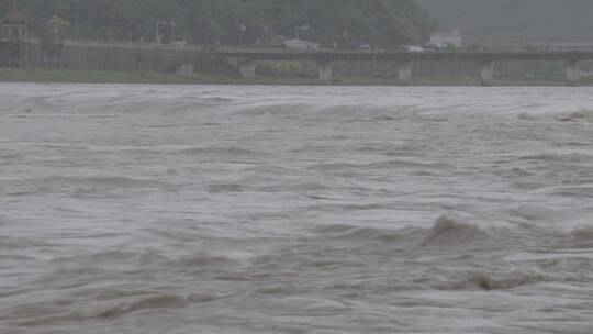 暴雨洪水LOG视频素材