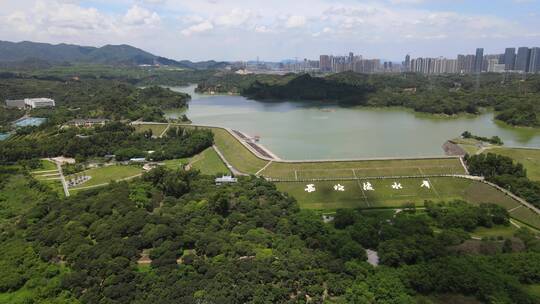 长岭陂水库  长岭皮水库