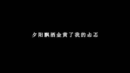 汪峰-地心歌词视频素材