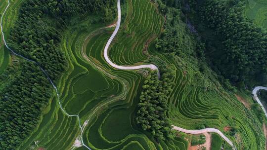 航拍遂川农业梯田