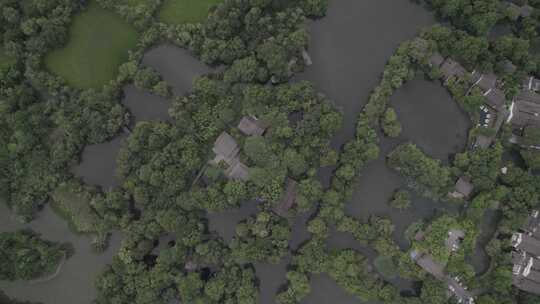 航拍浙江杭州西溪湿地