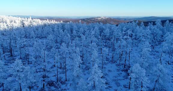 内蒙古大兴安岭冰雪雾凇 童话世界