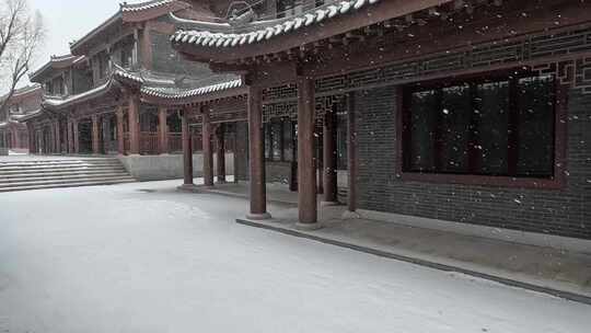 冬季庭院飘雪场景