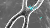 受损染色体的动画高清在线视频素材下载