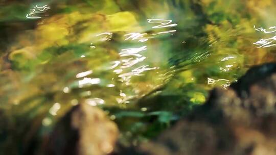 慢镜头微距溪水泉水河流山泉清澈特写空镜