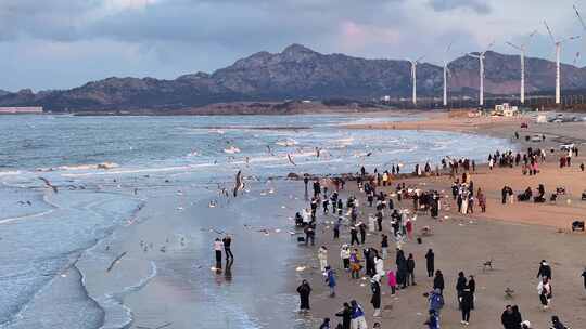 航拍威海布鲁威斯号海边海鸥晚霞延时云