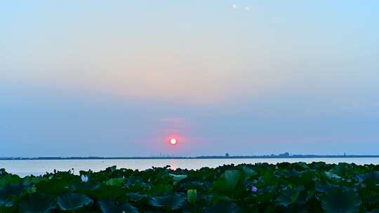 苏州阳澄湖日落延时视频