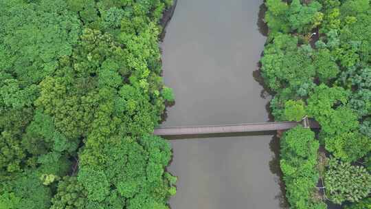 航拍衡阳平湖公园美景