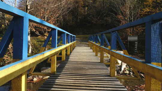 蓝黄桥