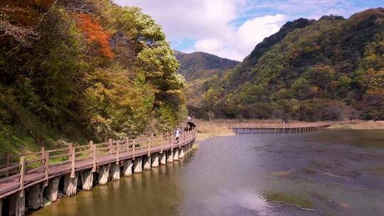 视觉震撼，这山林竹海惹了聚雨，清新夏日