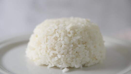 一大块米饭旋转展示