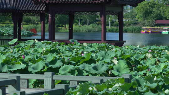 武汉武昌区沙湖公园月榭