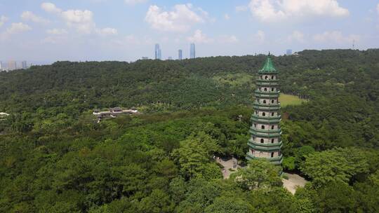 广西 南宁 广西宣传片  青秀山风景区