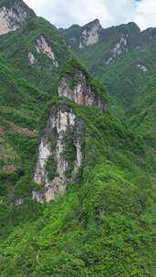 青山绿水，治愈系风景，捕捉身边的花草