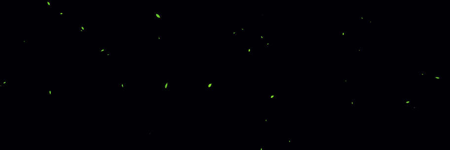 树叶飘落带通道