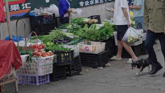 【正版素材】菜市场买菜卖菜蔬菜