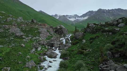 孟克特古道 新疆 雪山草原 旅行自驾