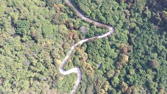 清源山森林山路航拍公路树林俯拍