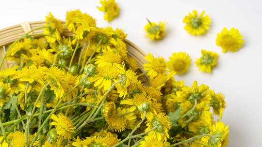 中药材野菊花 清热解毒中医药用泡茶