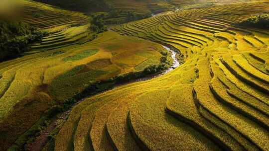 今天是你的生日，我的中国