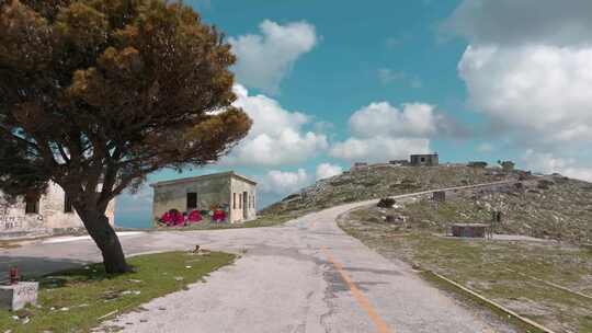 废弃，道路，混凝土，树木