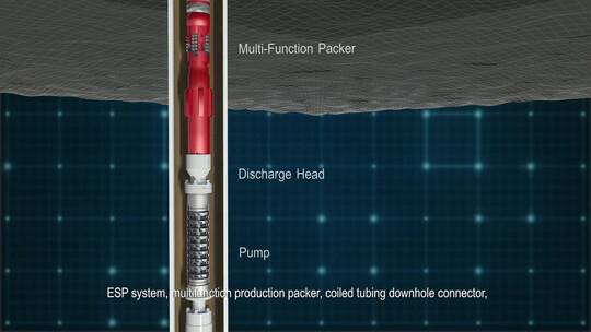 连续油管井海上采油采油平台电潜泵封隔器