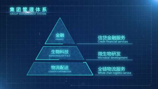 企业科技金字塔架构