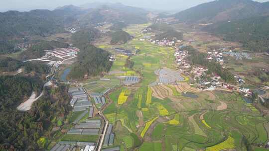 乡村田园农业种植油菜花农田航拍