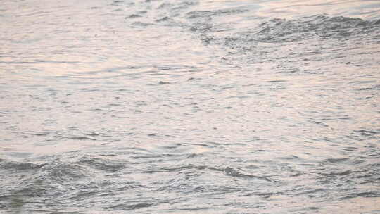 河流 流水 水面 奔流 江河 波涛 波浪翻滚