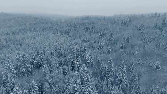 FPV穿越机无人机航拍雪景森林河流雪山白云