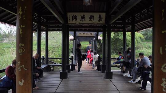 杭州三台山景区乌龟潭风景