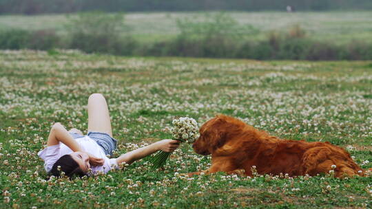 美女和宠物犬金毛狗躺在春天鲜花草地上玩耍
