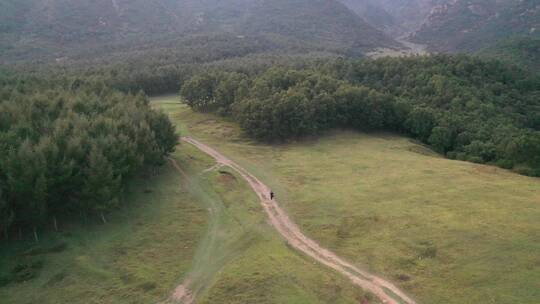 峡谷上的草原树林风景