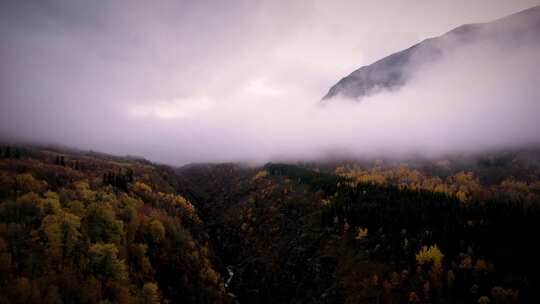 航拍秋季森林云雾河流山峰雾气弥漫