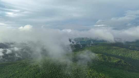 航拍大兴安岭山林云雾缭绕视频素材模板下载