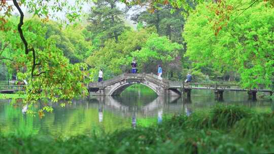 杭州西湖春天风景